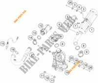 ESCAPE para KTM 125 DUKE ORANGE 2018